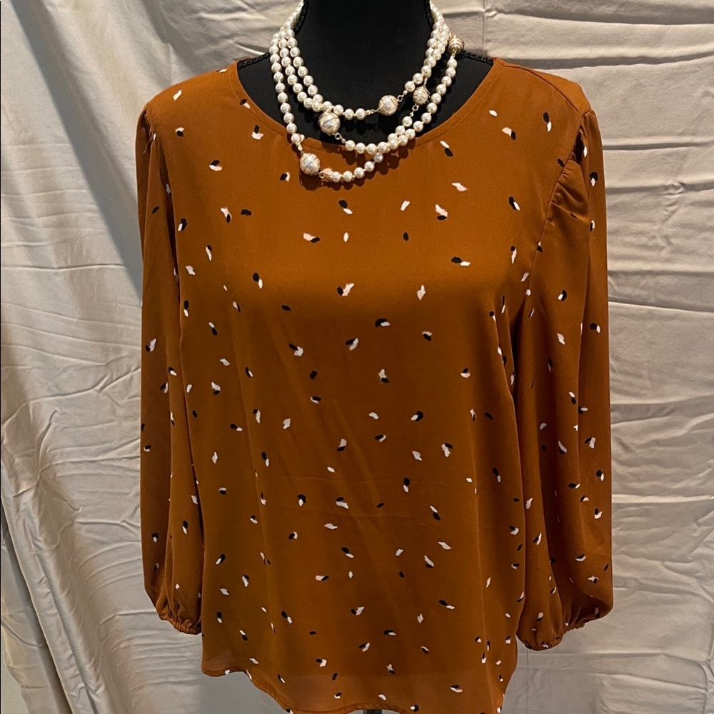 Elegant Brown Blouse with White Accents